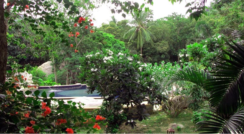 Jungle Luxuriante à l'hotel Sensi Paradise Jungle Luxuriante à l'hotel Sensi Paradise