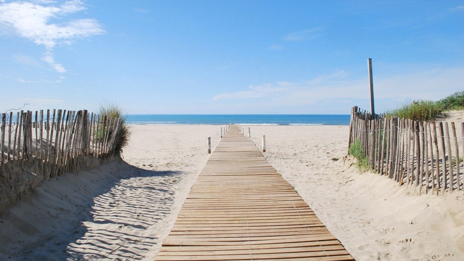 eccce39f0db51f10e6b876e0e548784b