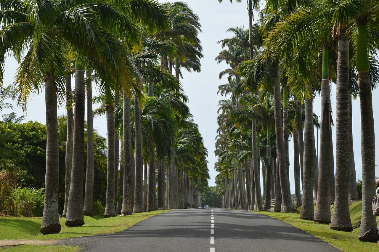 Que faut il visiter en Guadeloupe
