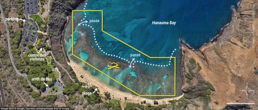 snorkeling à la baie d'hanauma