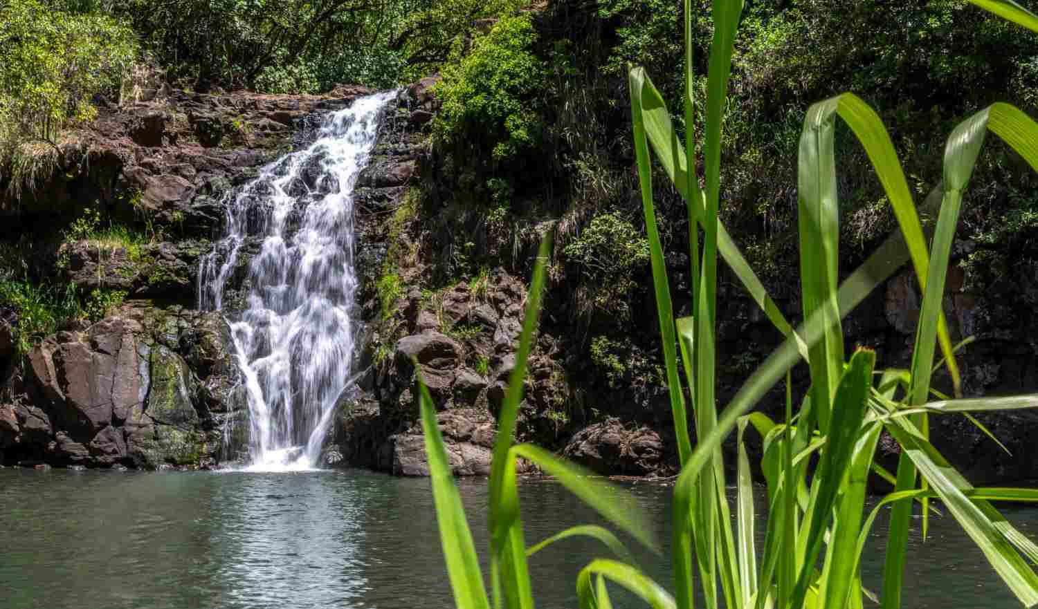 Les plus belles chutes d'eau à Oahu