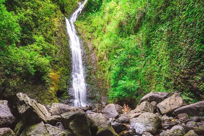 Manoa Falls Oahu