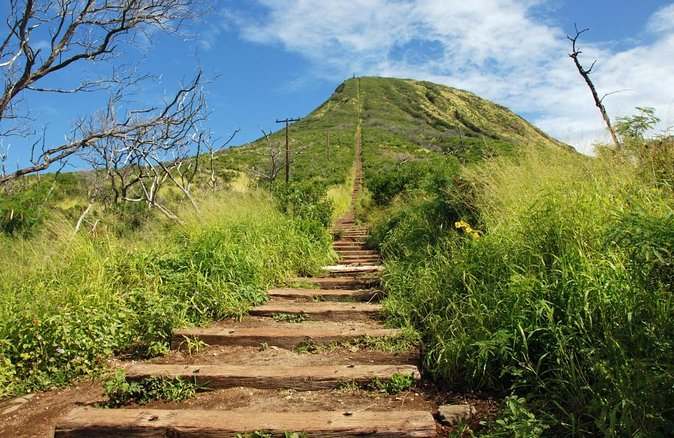 la piste de koko head