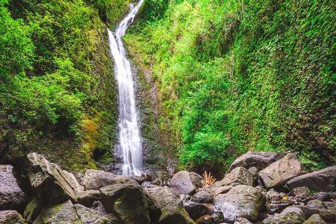 manoa-falls-chute