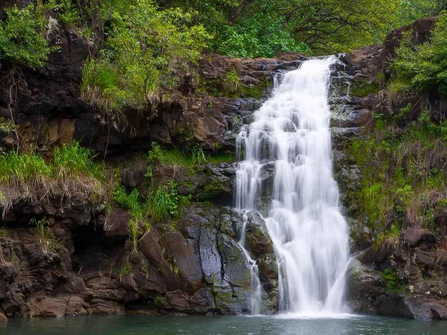 waimea-falls à oahu