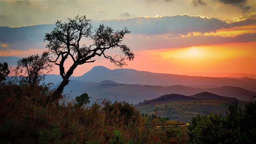 Lever du soleil sur Savannah en Afrique du Sud