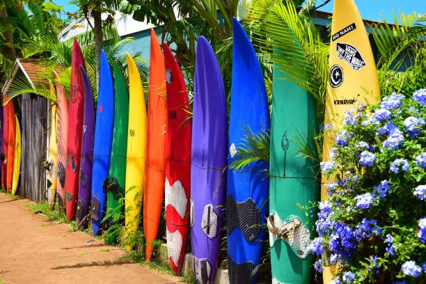 Paia Surf-maui