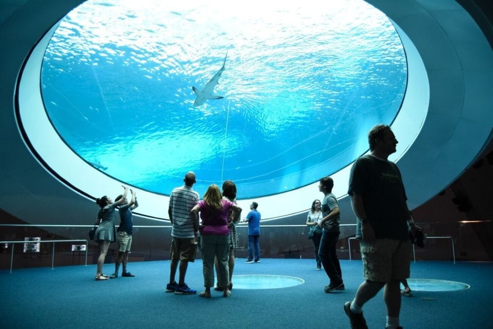 Voyage en famille à Miami : Guide complet 8 Frost Science Museum Miami