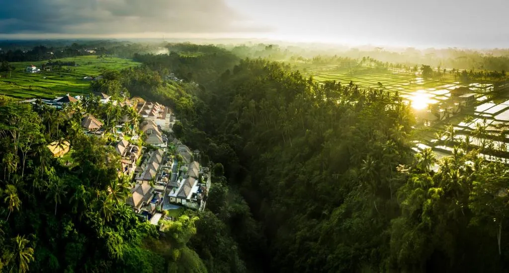 Ubud et ses plus beaux hôtels piscines avec vue sur la jungle