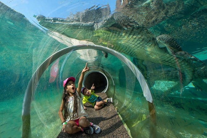 Voyage en famille à Miami : Guide complet 10 Zoo de Miami
