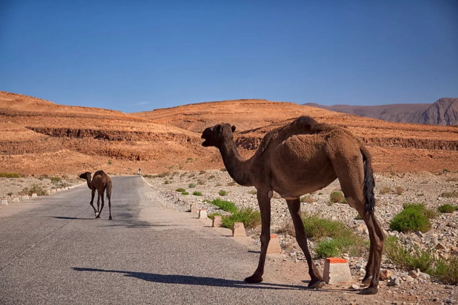 Road trip Maroc montagnes Atlas scaled
