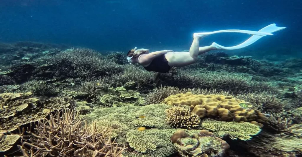 Découverte de l'île de Palawan aux Philippines : Votre guide complet 4 plongée snorkeling à el nido
