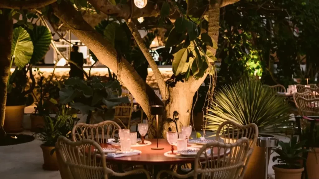 Les meilleurs restaurants à Ibiza où la fête ne s'arrête jamais ! 7 Restaurant Zitya