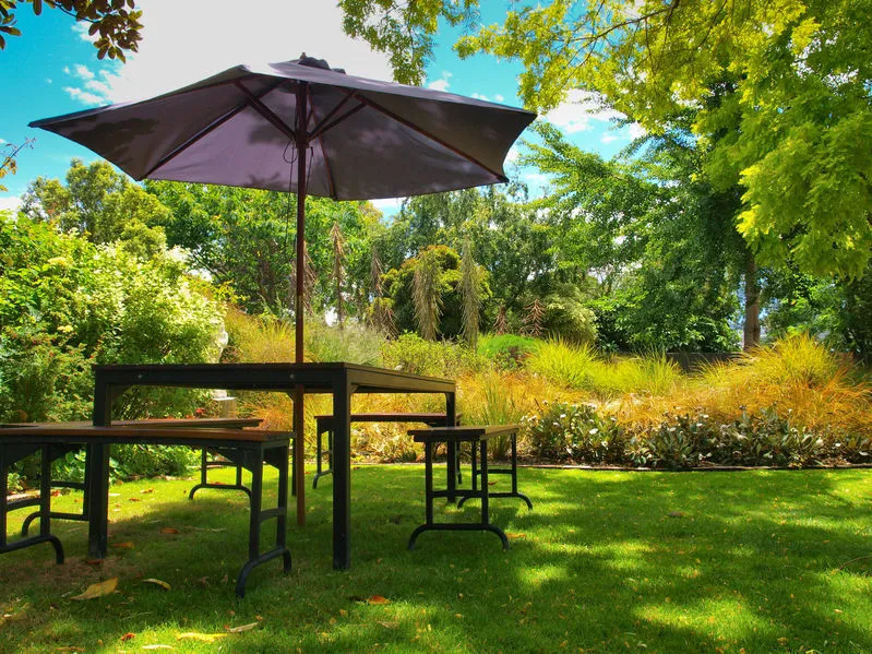 parasol tendance été