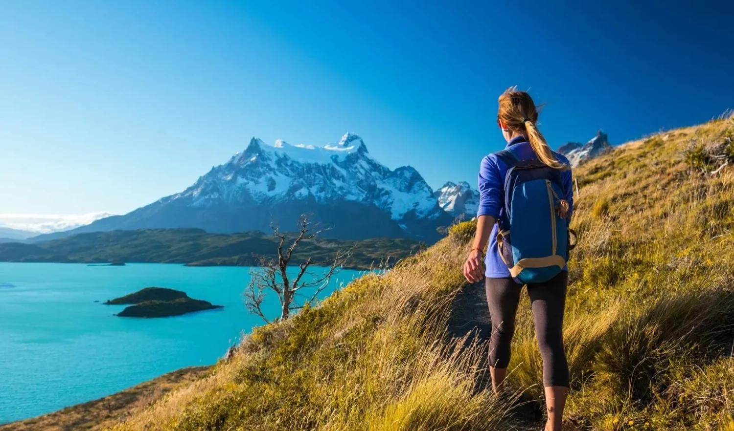 Top des plus beaux trekkings et randonnées au Chili