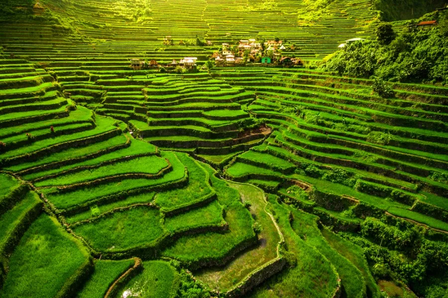 Banaue - Philippines -Découvrez les spectaculaires rizières en terrasses