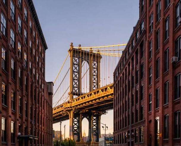 Spot instagram dumbo