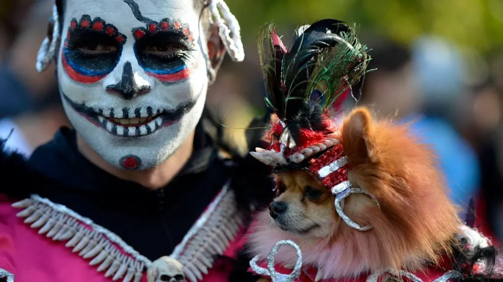 dog parade halloween