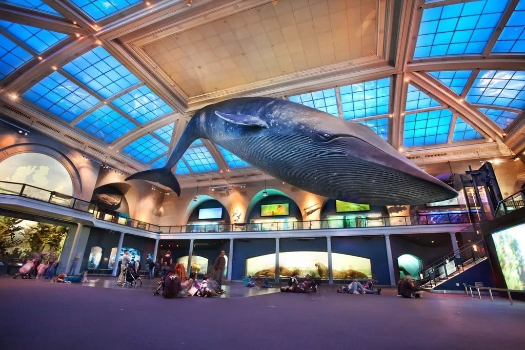 musee-new-york