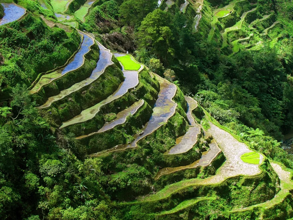 Banaue, Philippines : Découvrez les spectaculaires rizières en terrasses 2 rizieres Banaue philippines