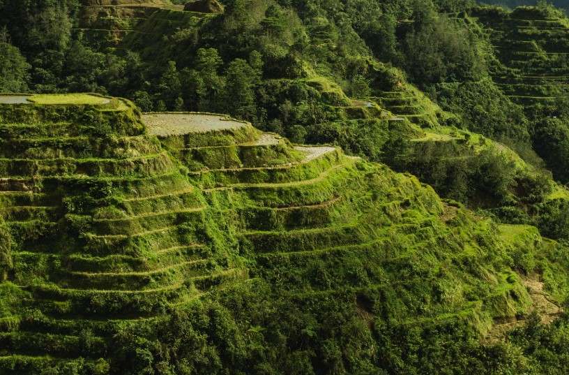 Itinéraire complet aux Philippines pour ne rien manquer ! 5 Banaue rizières Philippines
