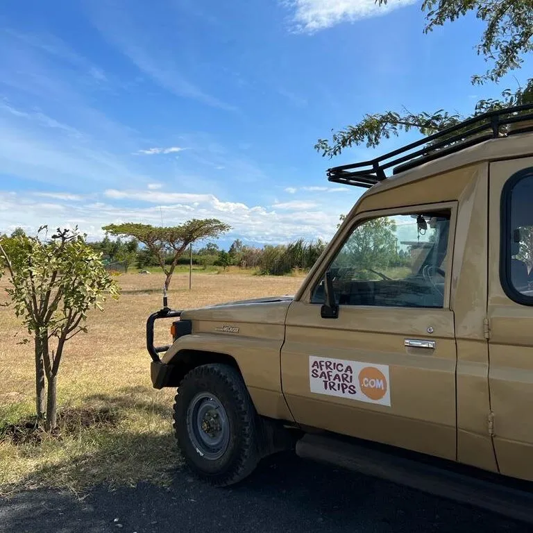 Safari en Ouganda : explorez les parcs nationaux et rencontrez les gorilles des montagnes 2 safari en Ouganda