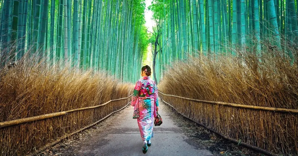 La forêt de bambous d’Arashiyama kyoto