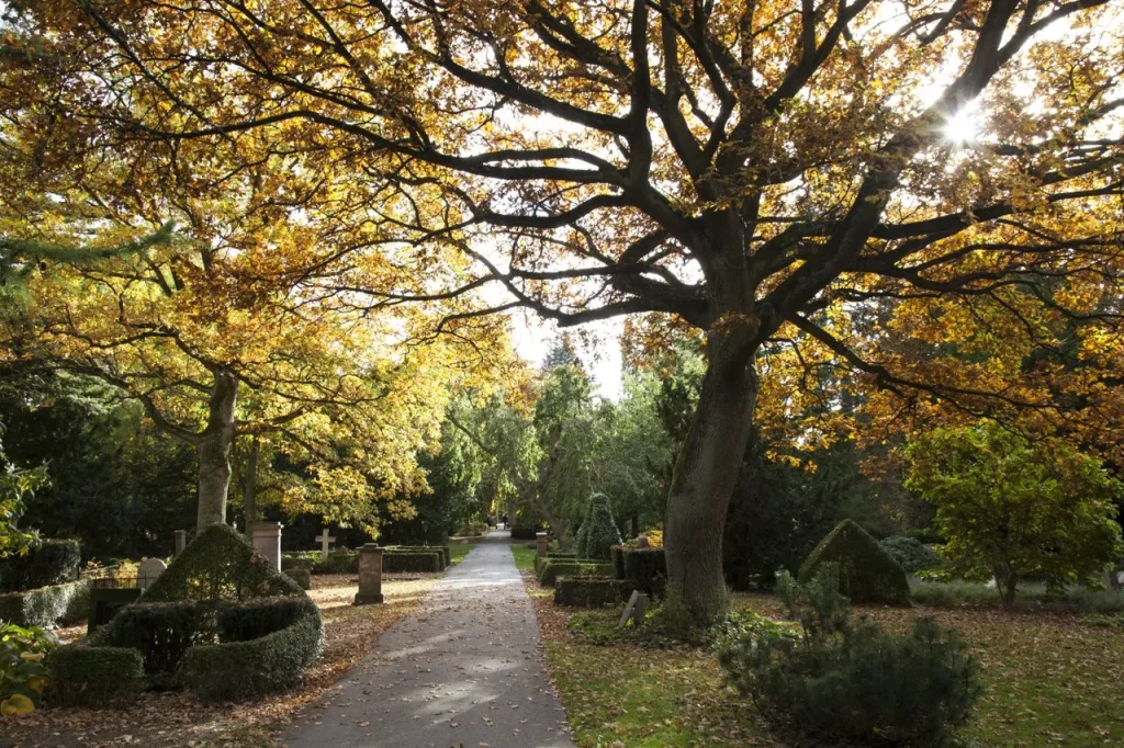 Le cimetière d'Assistens