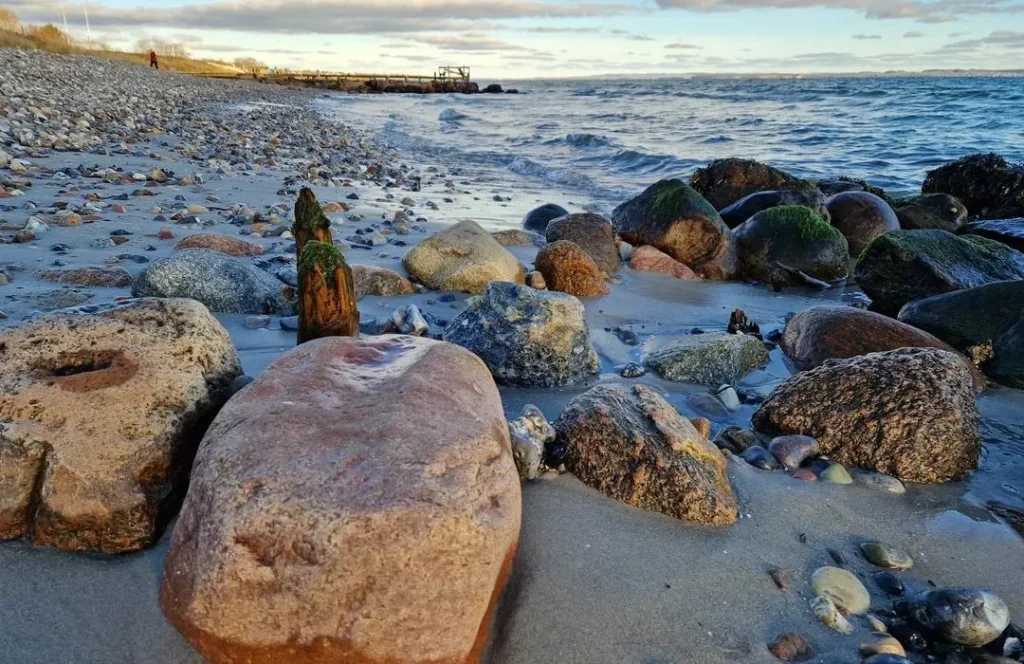 Visiter Aarhus : les incontournables à voir et à faire dans la ville danoise 6 plage de Bellevue