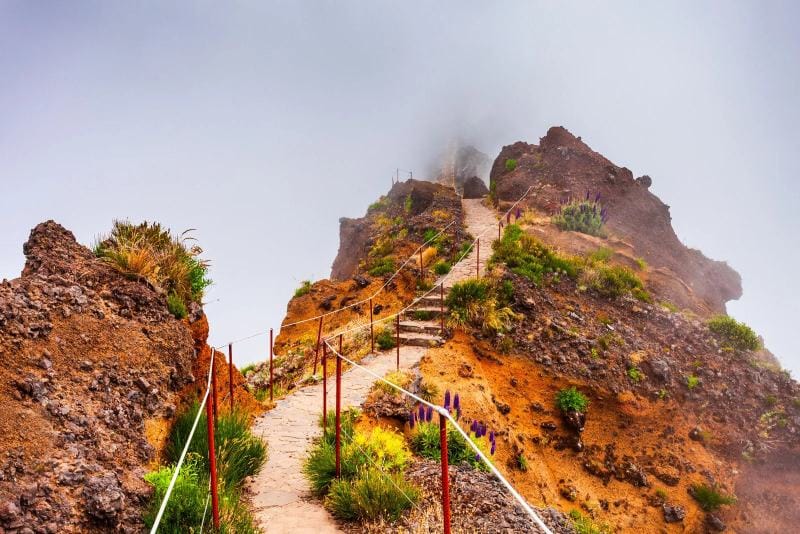 Randonnée de Pico do Arieiro à Pico Ruivo à Madère : la plus spectaculaire d'Europe 2 Randonnée de Pico do Arieiro à Pico Ruivo à Madère