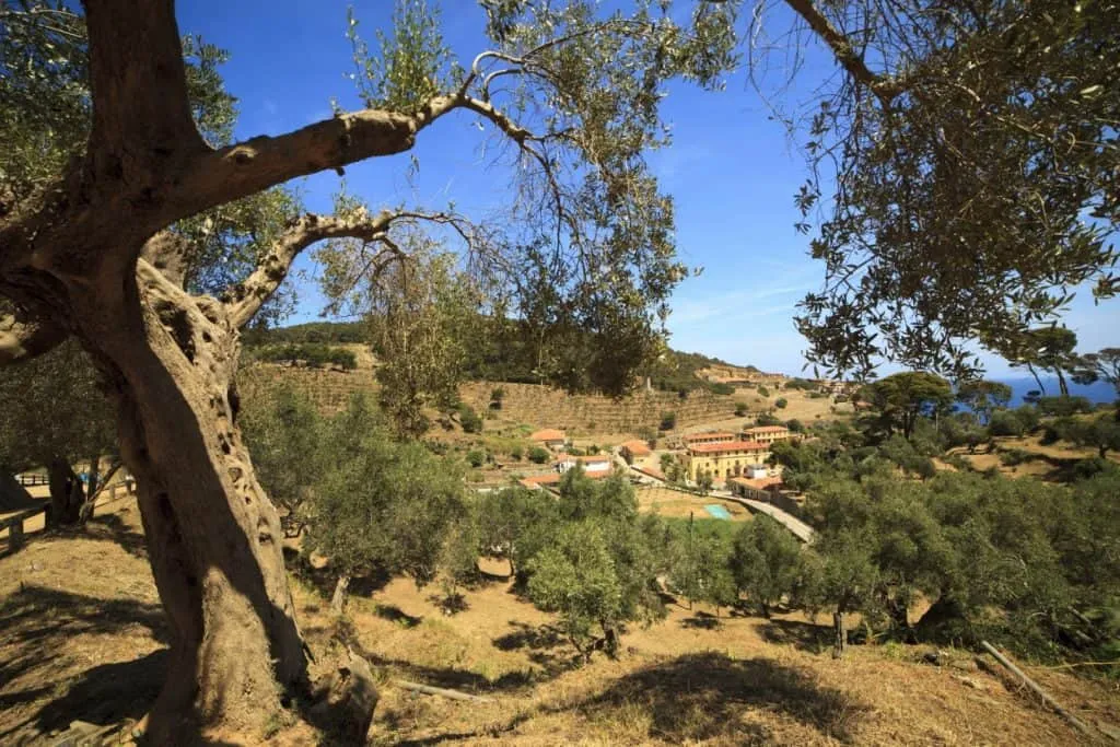 Insolite : l’île-prison de Gorgona en Italie 3 Gorgona, la dernière île prison d'Italie dans la mer Ligure