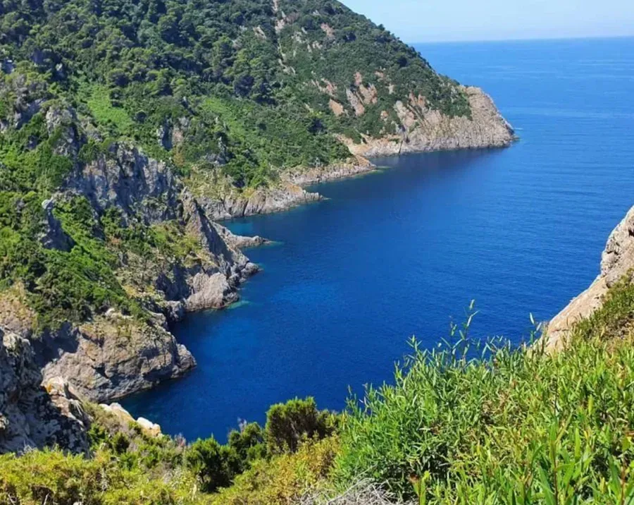 Insolite : l’île-prison de Gorgona en Italie 2 ile de Gorgona en Italie