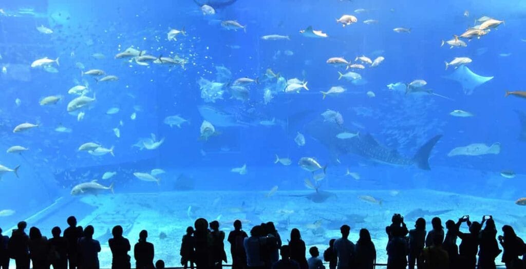 Malaga en famille : itinéraire adapté aux enfants 2 malaga aquarium