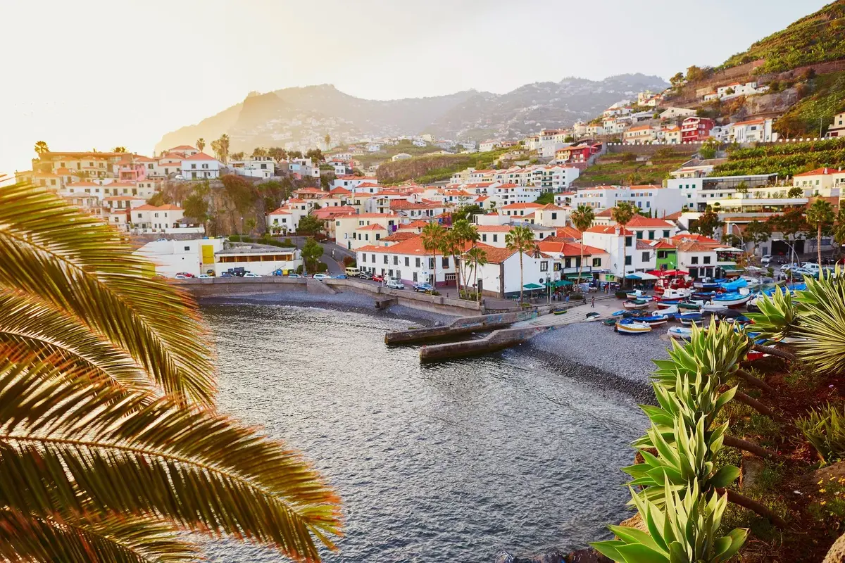 Ce que Madère fait aux voyageurs (et que personne ne dit vraiment) 2 Vue sur le village de Câmara de Lobos et son port de pêche au coucher du soleil, Madère