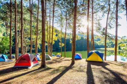 Camping Biscarrosse : profitez de vacances nature entre lac, pinède et océan