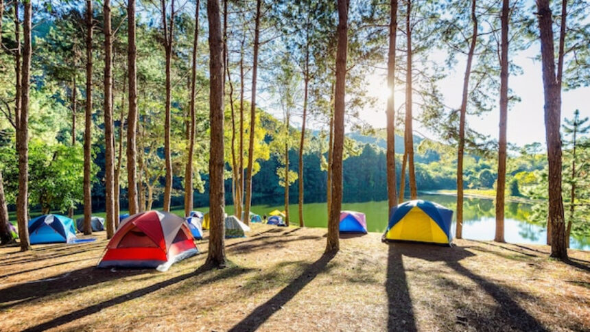 Camping Biscarrosse : profitez de vacances nature entre lac, pinède et océan