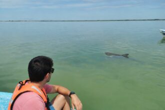 3 excursions pour visiter Sian Kaan au Mexique