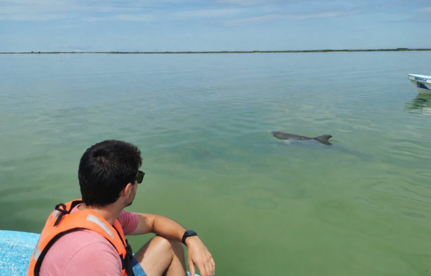 3 excursions pour visiter Sian Kaan au Mexique