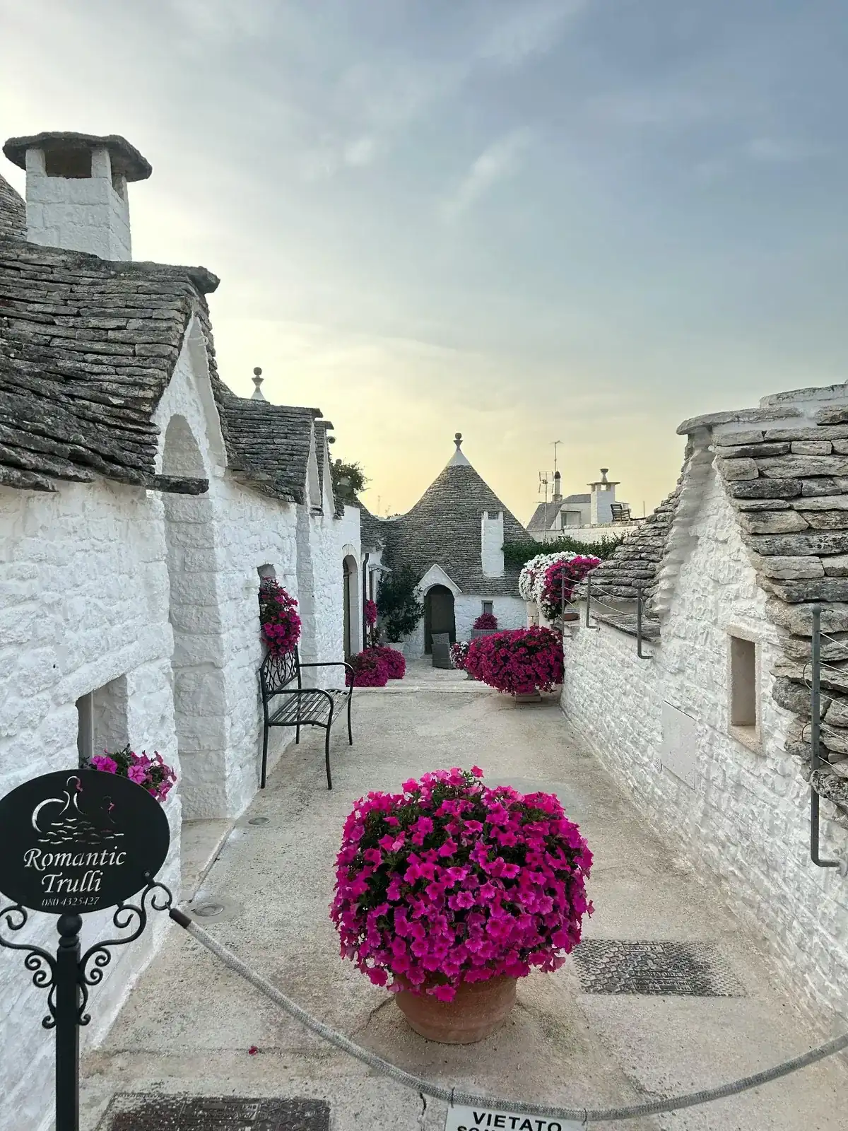 Alberobello et les trulli des Pouilles : le guide complet 3 Une ruelle blanchie à la chaux entre les trulli d'Alberobello, bordée de pétunias en pot