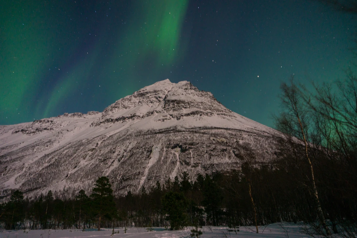 Aurore boréale Norvège : où et quand partir pour maximiser vos chances 2 Une aurore boréale ondulant au-dessus d'une montagne et d'un fjord norvégien, sous un ciel entièrement dégagé