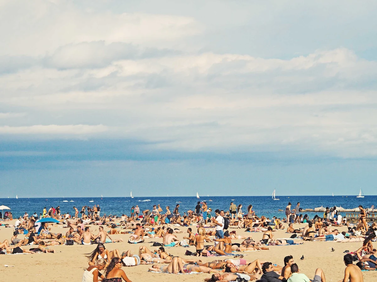 Rooftops de Barcelone : lesquels sont vraiment ouverts au public 2 La plage de la Barceloneta à Barcelone, couverte de baigneurs en été