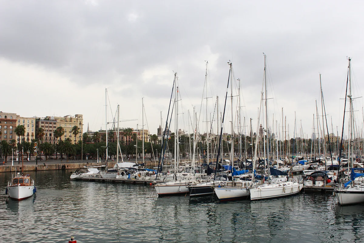 Rooftops de Barcelone : lesquels sont vraiment ouverts au public 3 Le port de Barcelone et ses rangées de voiliers amarrés, mâts alignés