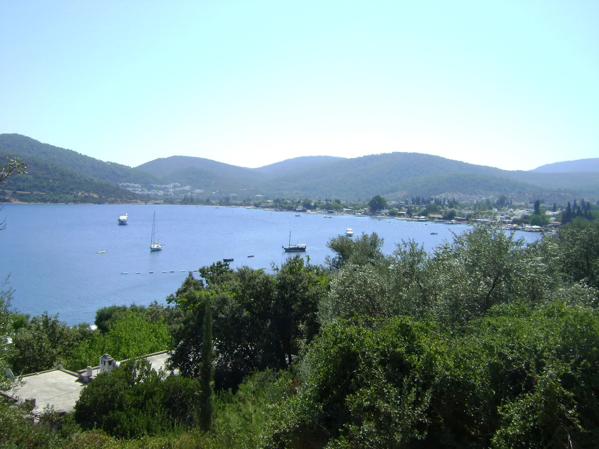 Une baie de la péninsule de Bodrum, ses collines boisées descendant vers la mer Égée