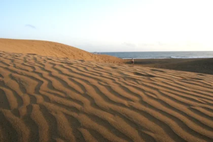 Les dunes de sable ondulées d'une plage des Canaries descendant jusqu'à la mer