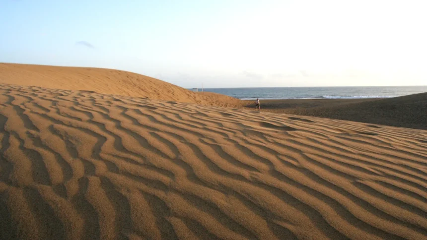 Les dunes de sable ondulées d'une plage des Canaries descendant jusqu'à la mer
