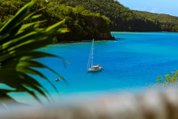 Une baie caraïbe aux eaux turquoise avec un voilier au mouillage, vue à travers les palmes