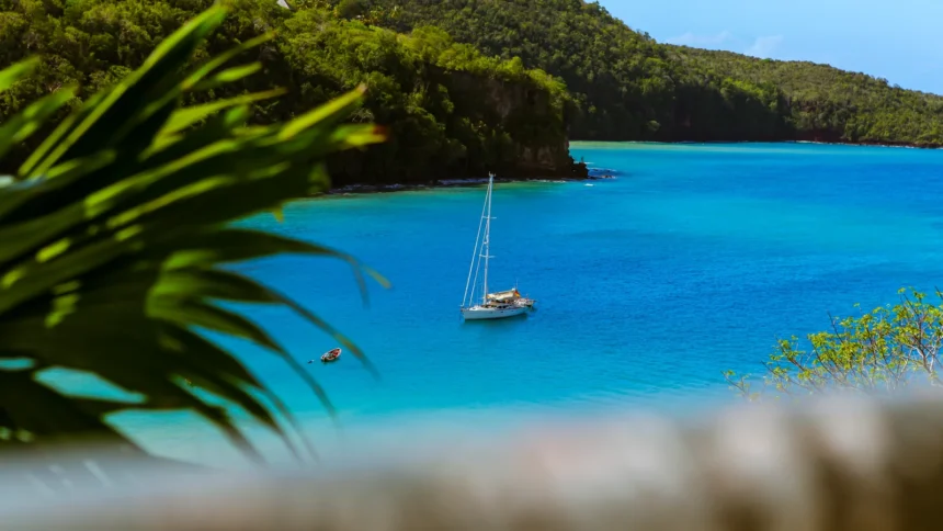 Une baie caraïbe aux eaux turquoise avec un voilier au mouillage, vue à travers les palmes