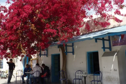 Maison blanche aux volets bleus et bougainvillier en fleurs à Djerba