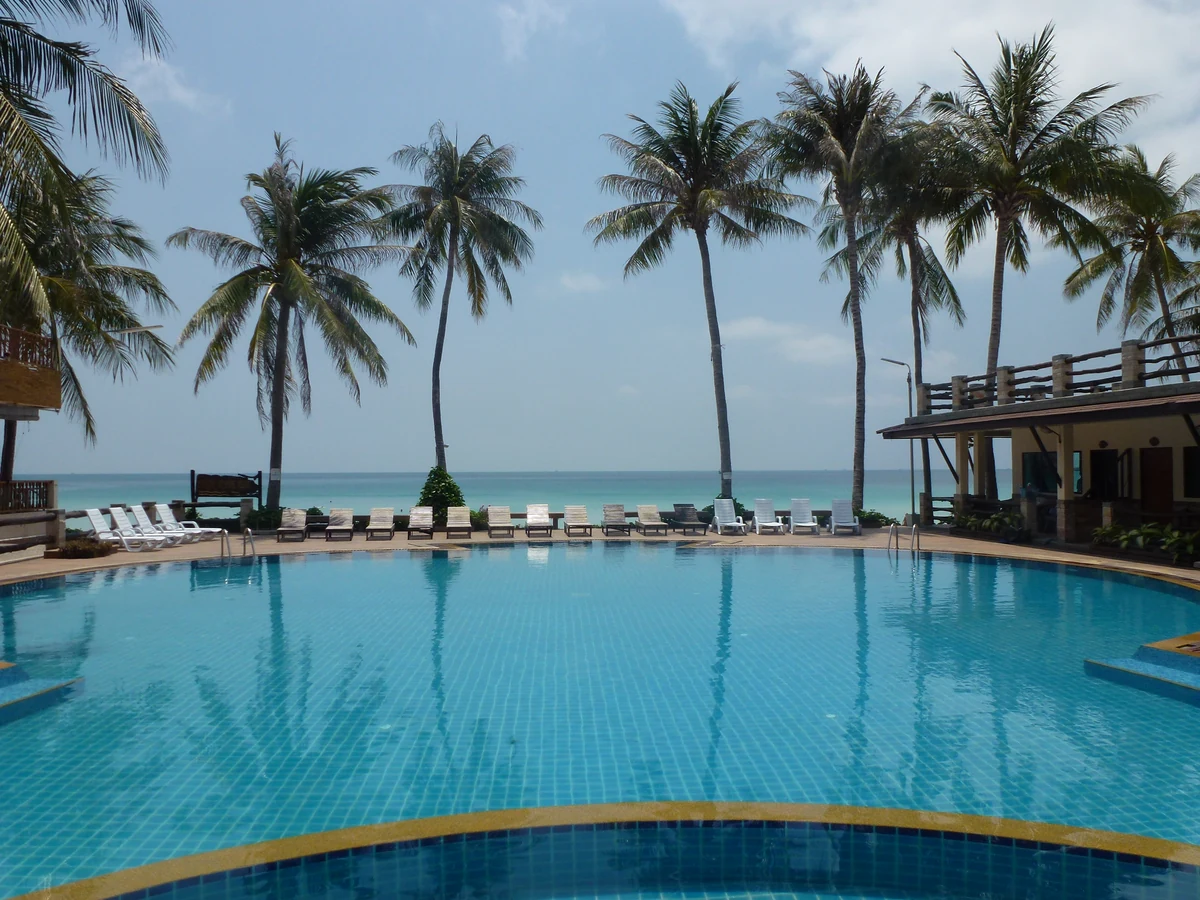 Beach clubs et beach bars de Koh Phangan : les 8 adresses et pourquoi personne n'affiche ses prix 2 La piscine d'un établissement de bord de mer à Koh Phangan, bordée de palmiers