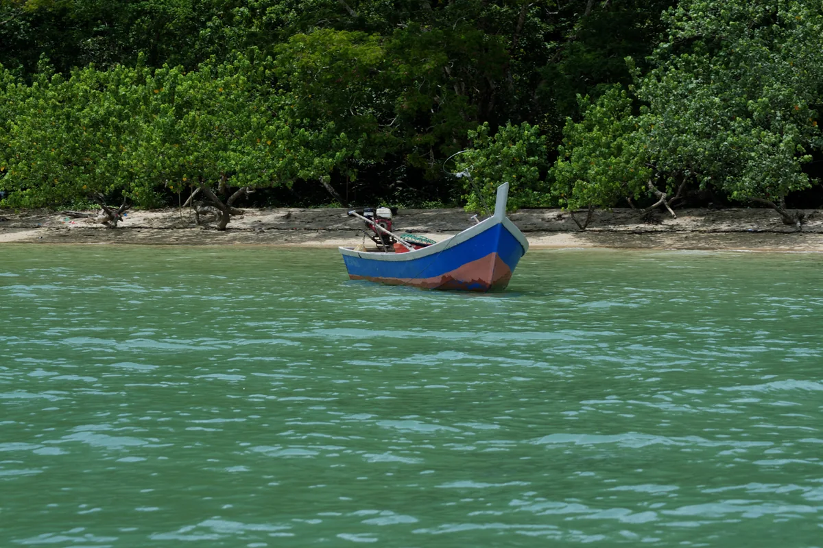 Langkawi, en Malaisie : que faire, plages et quand partir sur l'île géoparc 4 Une barque de pêche bleue longeant la mangrove de Langkawi, en Malaisie